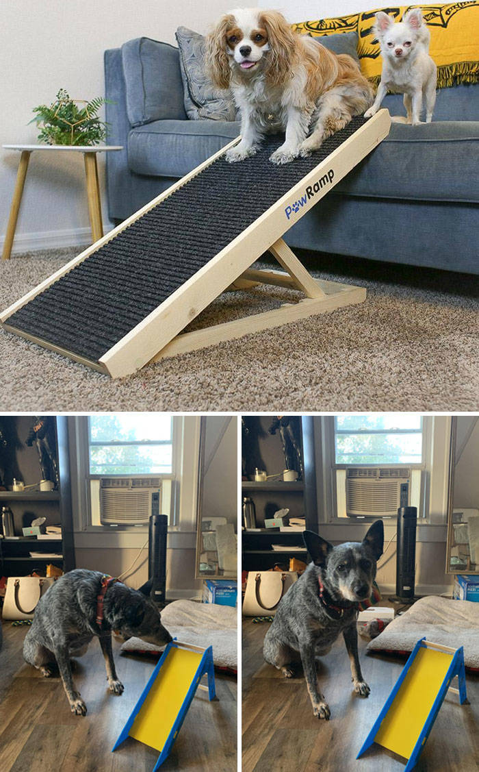 "Mom Ordered Steps For The Dog. What She Thought She Ordered vs. What She Got"