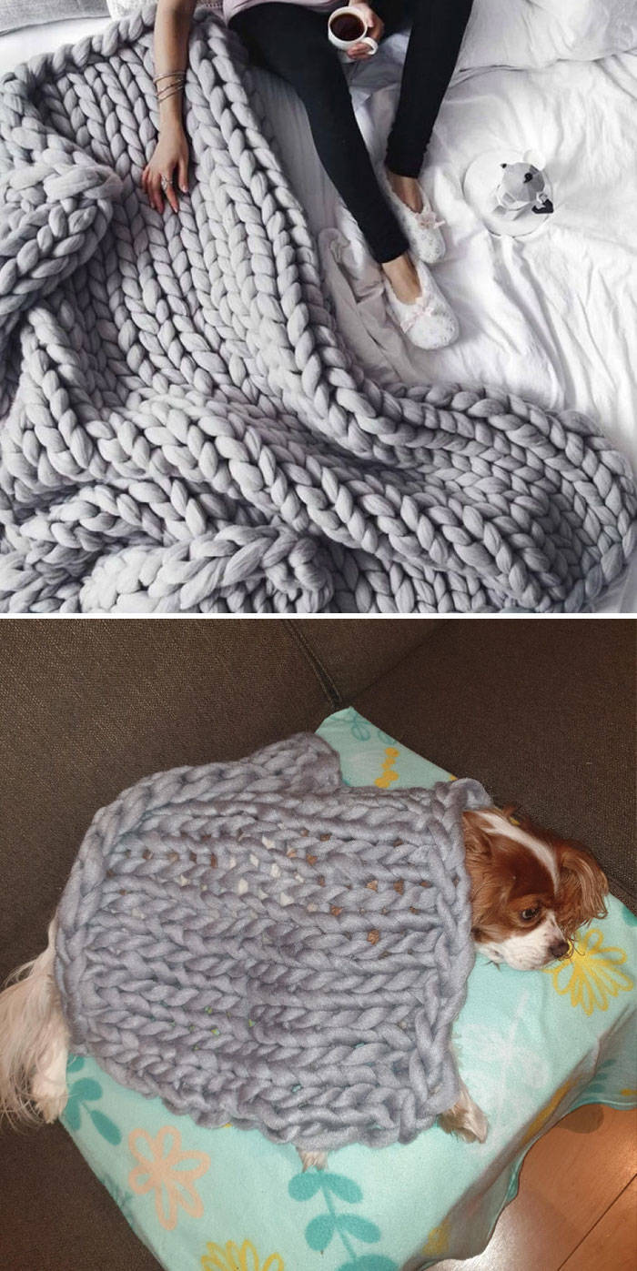 "What We Ordered vs. What We Got (Feat. My Dog)"