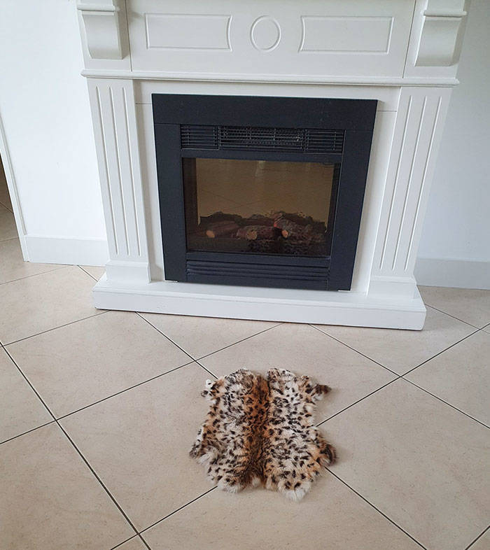 "I Ordered A Rug For The Fireplace"