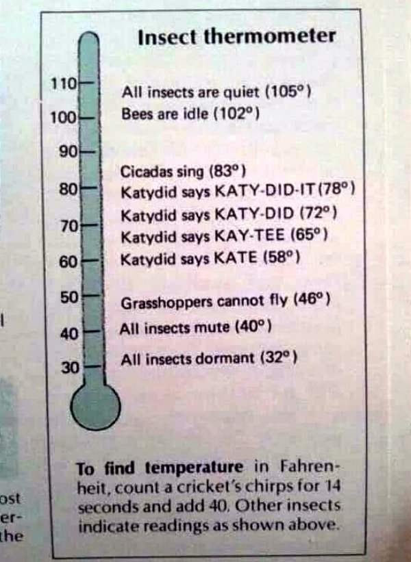 document - Insect thermometer 110 All insects are quiet 105 Bees are idle 102 100 90 80 Cicadas sing 83 Katydid says KatyDidIt 78 Katydid says Katy.Did 72 Katydid says KayTee 65 Katydid says Kate 58 70 60 50 1 Grasshoppers cannot fly 46 All insects mute 4