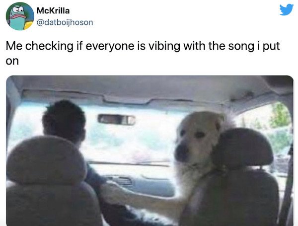 relatable things we all do  - ruff life meme - McKrilla Me checking if everyone is vibing with the song i put on