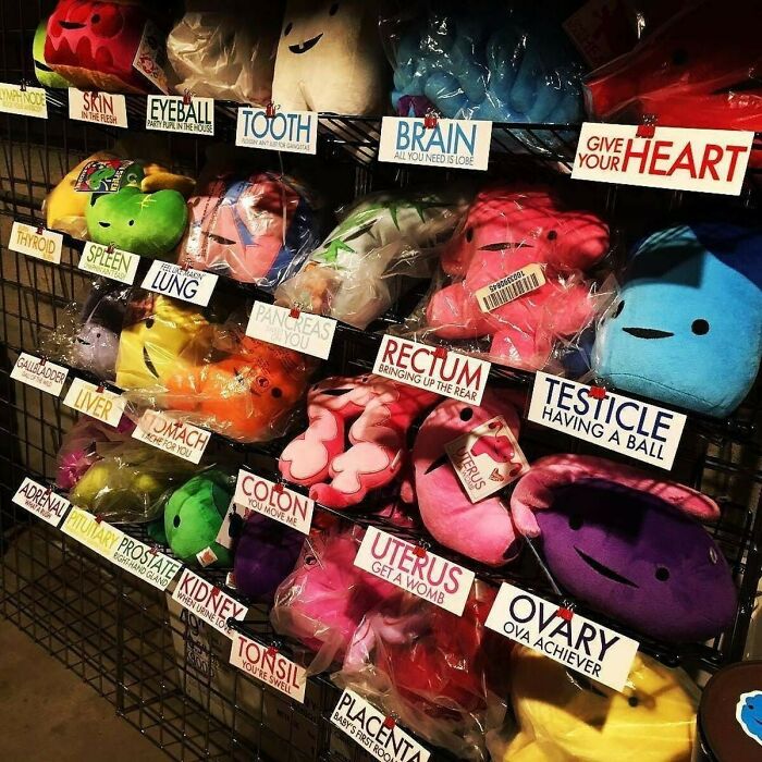 Organ Plushies