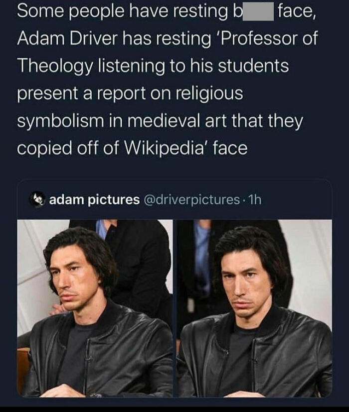 celebs getting rekt - adam driver professor meme - Some people have resting b | face, , Adam Driver has resting 'Professor of Theology listening to his students present a report on religious symbolism in medieval art that they copied off of Wikipedia' fac