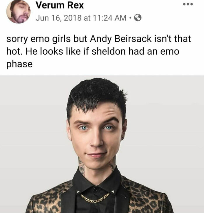 celebs getting rekt - hairstyle - Verum Rex at sorry emo girls but Andy Beirsack isn't that hot. He looks if sheldon had an emo phase