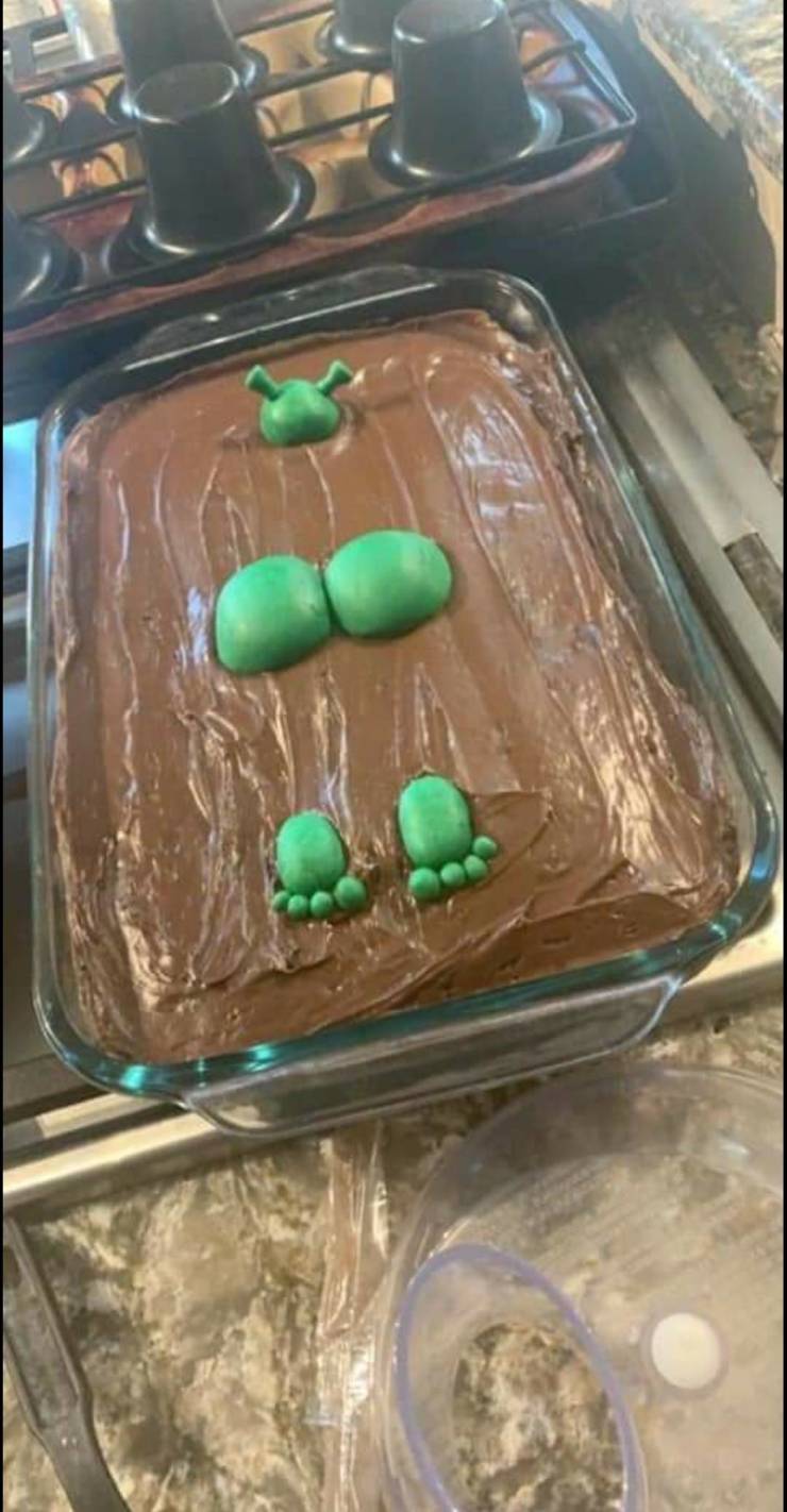 "Not exactly how I envisioned my Shrek themed birthday cake..."