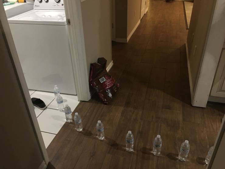 "My kids came in and told me there was water coming from the laundry room. They said it looked like it started at the washer. I rushed in to find this. Buncha comedians in my house..."