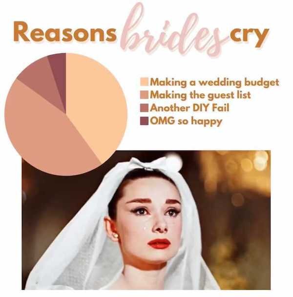 beauty - Reasons sbridez er cry Making a wedding budget I Making the guest list Another Diy Fail Omg so happy