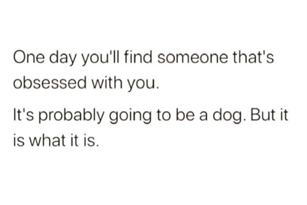 Happiness - One day you'll find someone that's obsessed with you. It's probably going to be a dog. But it is what it is.
