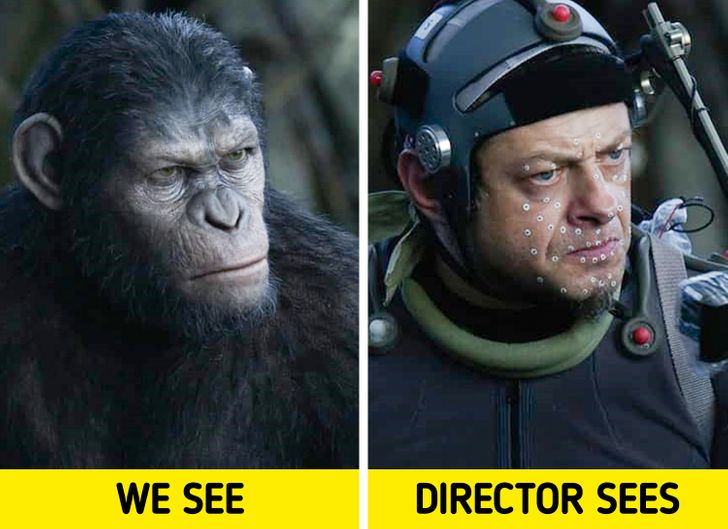 The creators of the film got a well-deserved Oscar for Dawn of the Planet of the Apes.