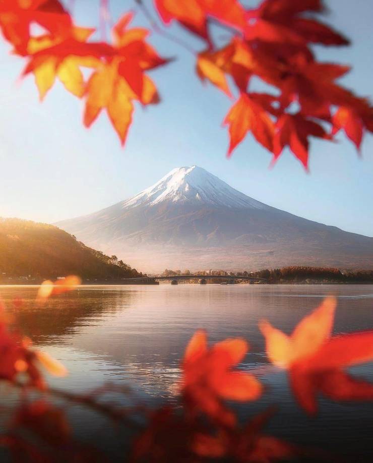 autumn mount fuji