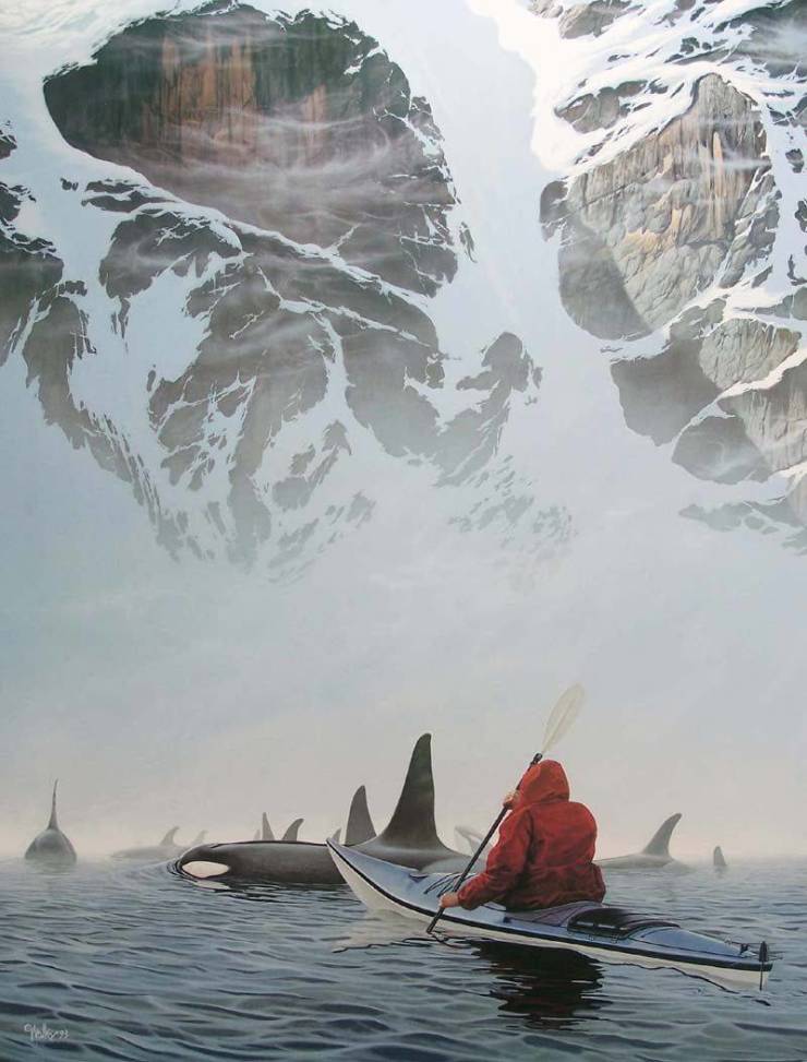 kayaking with orcas alaska