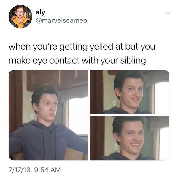 48 Memes People With Siblings Will Relate To.