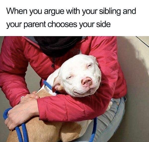 48 Memes People With Siblings Will Relate To.