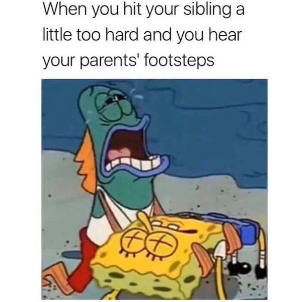 48 Memes People With Siblings Will Relate To.