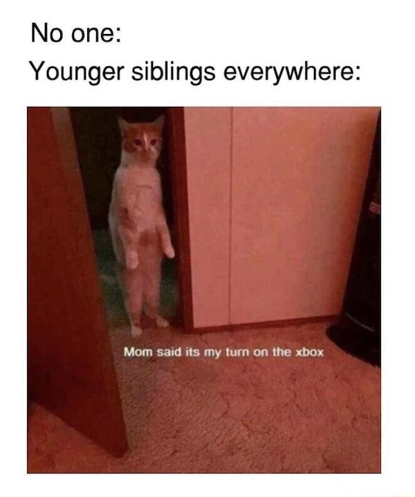 48 Memes People With Siblings Will Relate To.