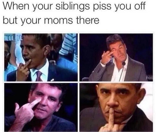 48 Memes People With Siblings Will Relate To.