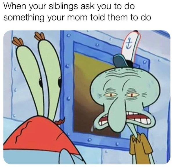 48 Memes People With Siblings Will Relate To.