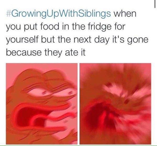 48 Memes People With Siblings Will Relate To.