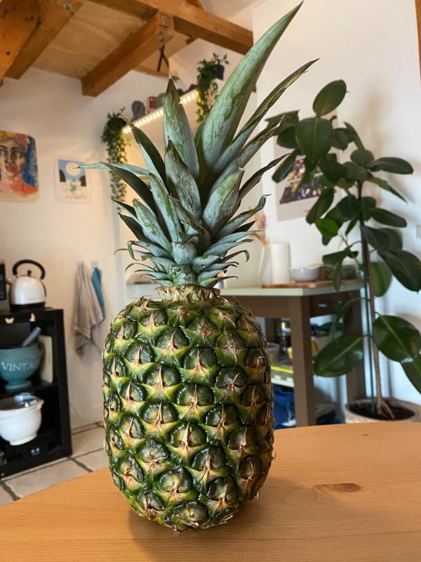 “I bought a pineapple for the person I’m dating since I know he loves them, but he cancelled 20 minutes before he was supposed to be here and has since left me on read. I’m allergic to pineapple.”