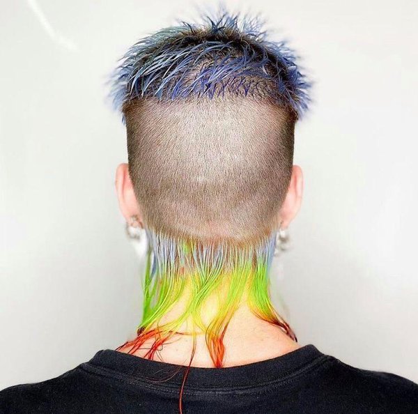 30 WTF Things People Did To Their Hair.