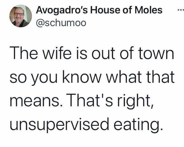 angle - Avogadro's House of Moles The wife is out of town so you know what that means. That's right, unsupervised eating.