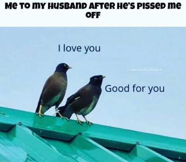 fauna - Me To My Husband After He'S Pissed me Off I love you Enerrittablis Good for you