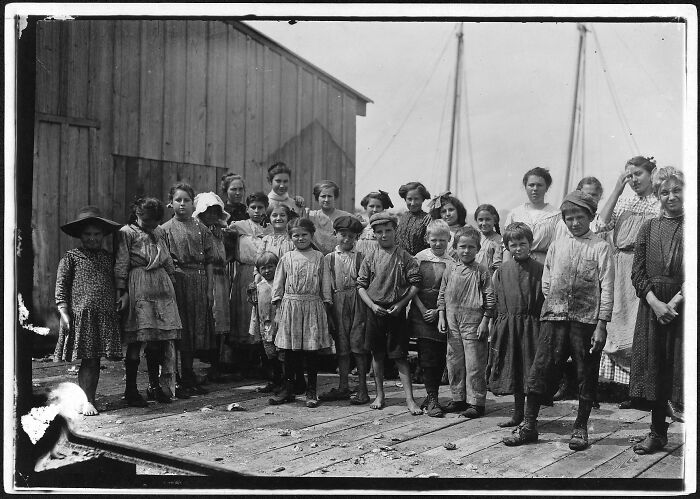 All Of Them Pick Shrimp At The Peerless Oyster Co. Photo Was Taken While Bosses Were At Dinner As They Refused To Permit The Children To Be In Photos. Out Of 60 Workers, 15 Were Apparently Under 12 Yrs Old. Bay St. Louis, Miss, March 1911