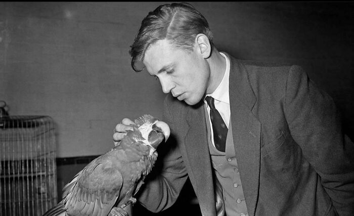 Sir David Attenborough As A Young Man, Late 1950s