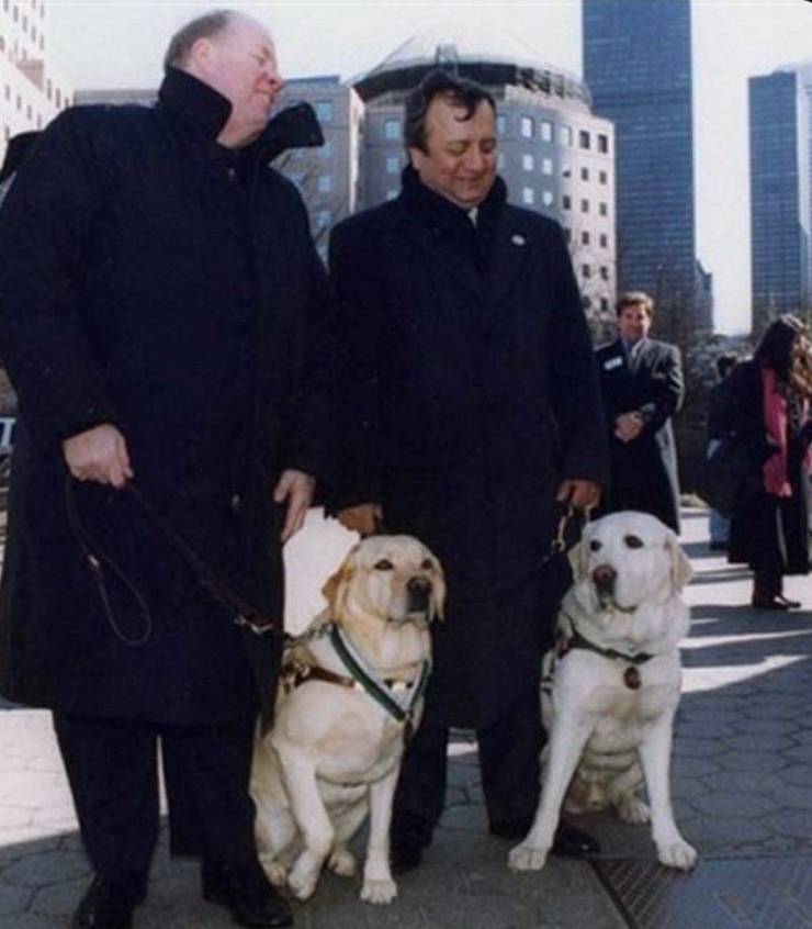 “Two guide dogs, Salty and Roselle, were awarded the Dickin Medal for gallantry after leading their blind owners out of the World Trade Center during the September 11 attacks.”