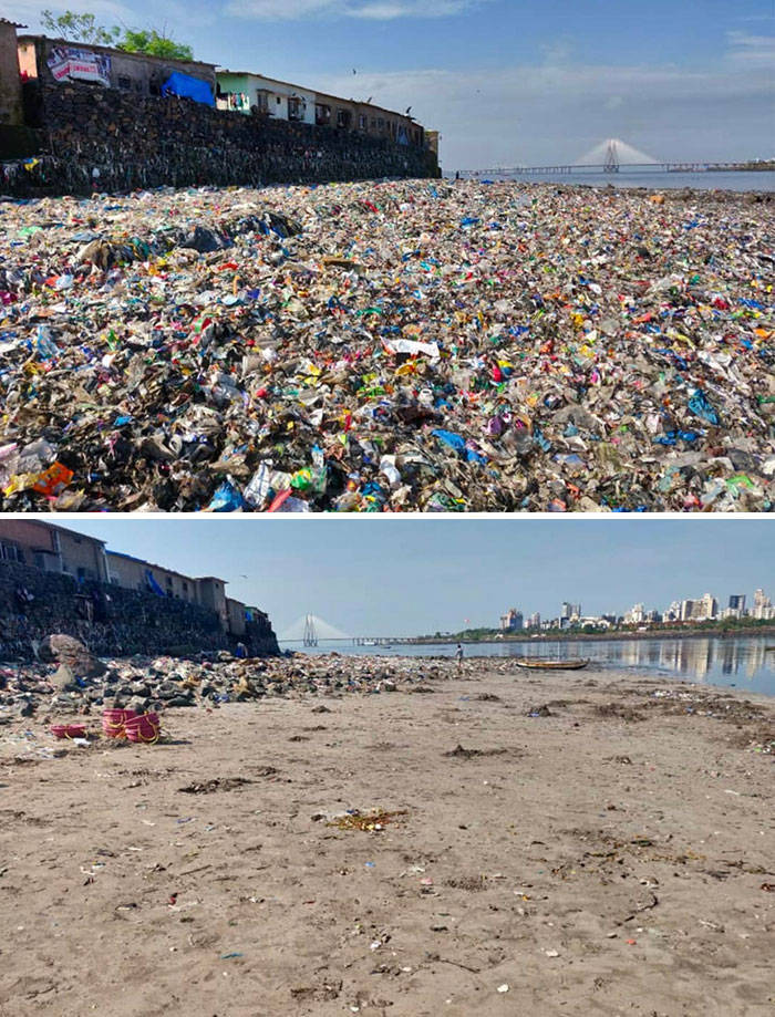 “This is a before and after image of a beach in Mumbai after a cleanup hosted by a lawyer named Afroz Shah allowed turtles to lay eggs there for the first time in 20 years. They are not done, but it is great progress.”