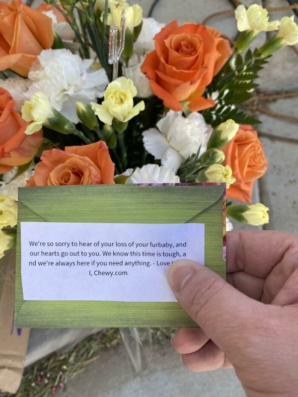 flower bouquet - We're so sorry to hear of your loss of your furbaby, and our hearts go out to you. We know this time is tough, a nd we're always here if you need anything. Love 1, Chewy.com