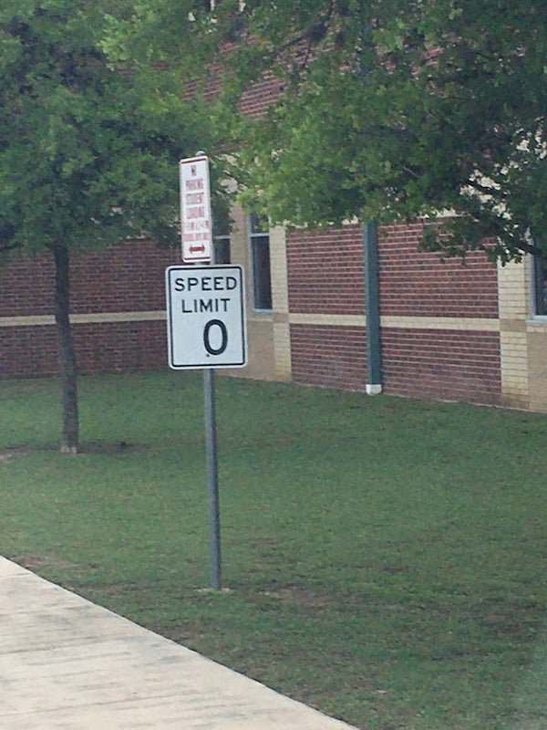 grass - Speed Limit 0