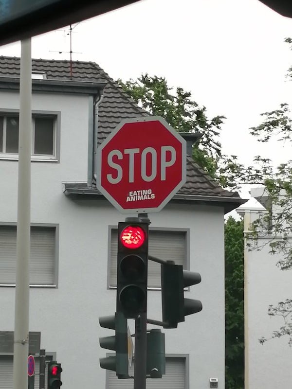 street sign - Ti Stop Eating Animals