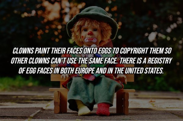 photo caption - Clowns Paint Their Faces Onto Eggs To Copyright Them So Other Clowns Can'T Use The Same Face. There Is A Registry Of Egg Faces In Both Europe And In The United States.