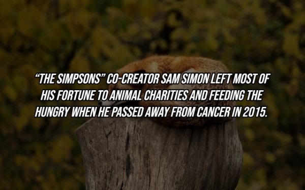 tree - "The Simpsons CoCreator Sam Simon Left Most Of His Fortune To Animal Charities And Feeding The Hungry When He Passed Away From Cancer In 2015.
