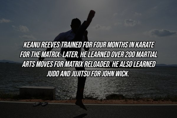 sky - Keanu Reeves Trained For Four Months In Karate For The Matrix. Later, He Learned Over 200 Martial Arts Moves For Matrix Reloaded. He Also Learned Judo And Jujitsu For John Wick.