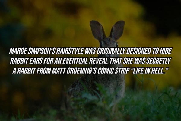 fauna - Marge Simpson'S Hairstyle Was Originally Designed To Hide Rabbit Ears For An Eventual Reveal That She Was Secretly A Rabbit From Matt Groening'S Comic Strip "Life In Hell."