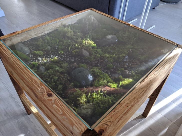 “I made a coffee table and put a moss garden in it.”