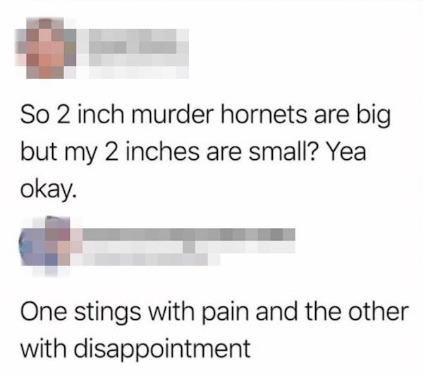 diagram - So 2 inch murder hornets are big but my 2 inches are small? Yea okay. One stings with pain and the other with disappointment