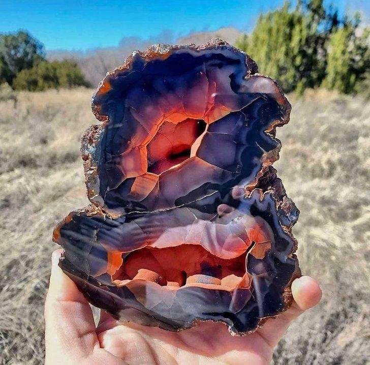 “I found a rare red fox agate from Patagonia, seen here, glowing over the beautiful New Mexico landscape.”