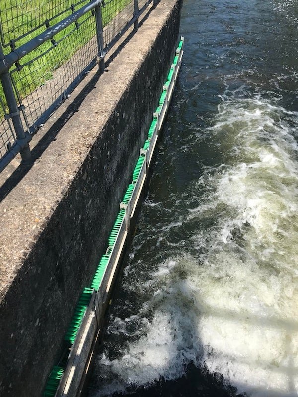 Green bristles along the side of a weirA: It’s for passage of eel and lamprey…