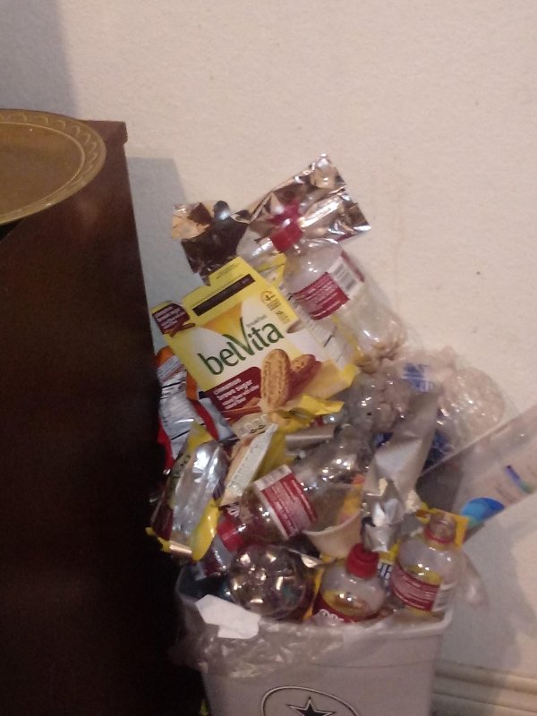 My Brother’s trash can