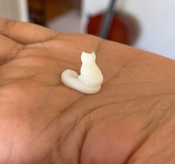 “This dollop of hand cream plopped into my palm exactly in the shape of a sitting cat.”