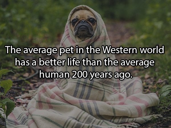 18 Shower Thoughts To Get You Thinking.