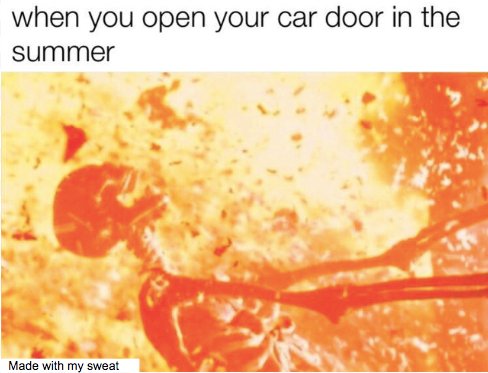 Internet meme - when you open your car door in the summer Made with my sweat