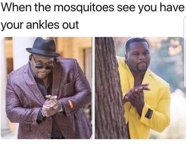 mosquitoes see your ankles - When the mosquitoes see you have your ankles out