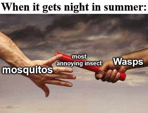 hand - When it gets night in summer most mosquitos annoying insect Wasps