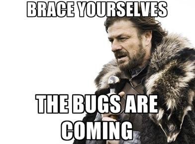 brace yourself meme - Brace Yourselves The Bugs Are Coming
