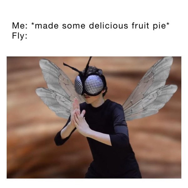 wing - Me made some delicious fruit pie Fly