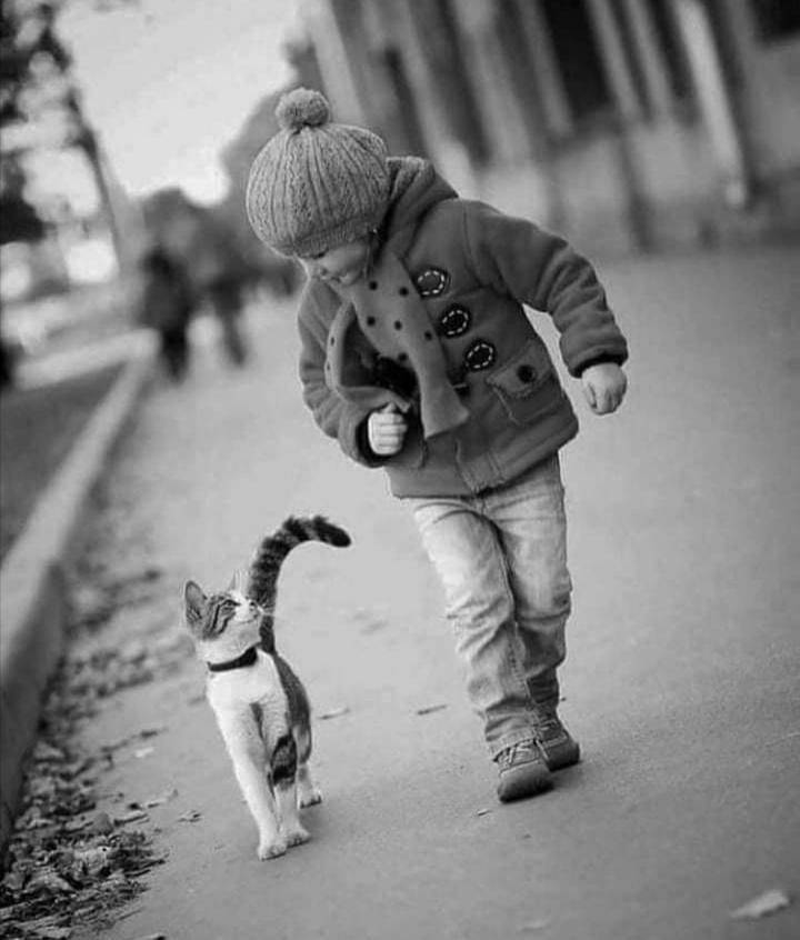 kids and cat photography